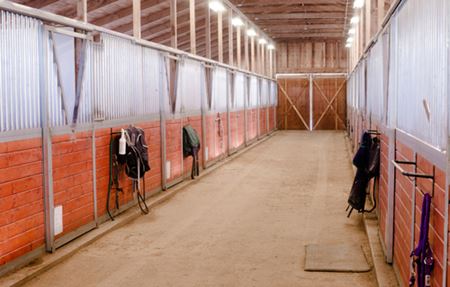 Equine Facilities